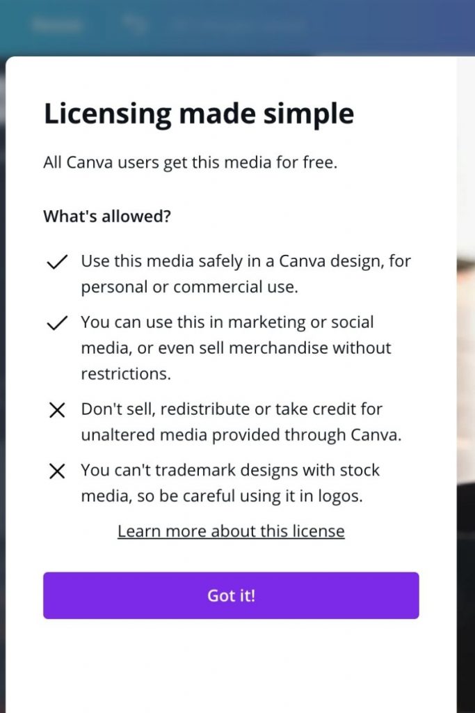 canva license terms for an asset
